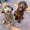 Isla & Bailey
